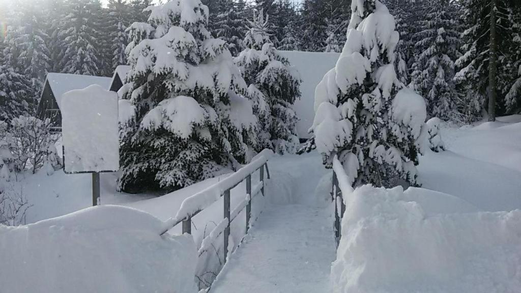 Hotel Maredis Rero Kořenov Exteriör bild