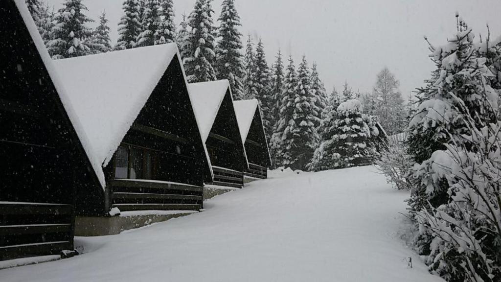 Hotel Maredis Rero Kořenov Exteriör bild